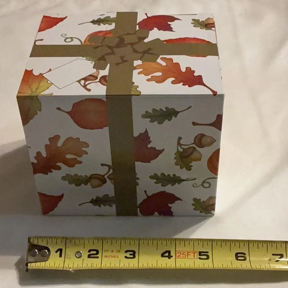 NEW Autumn Harvest Decorative Gift Box - White & Orange